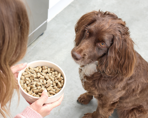 Cold Pressed Working Dog Food Bowl