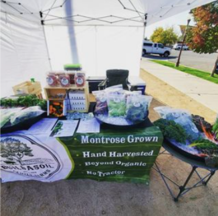 Local Produce in Montrose Colorado at the weekly farmer's market