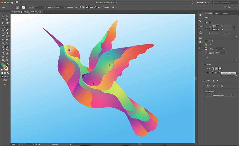 Adobe Illustrator Vector Graphic Design Software 1 Month