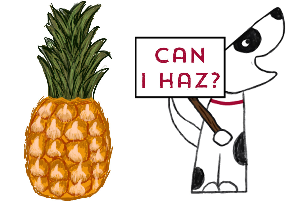 Can dogs eat pineapples