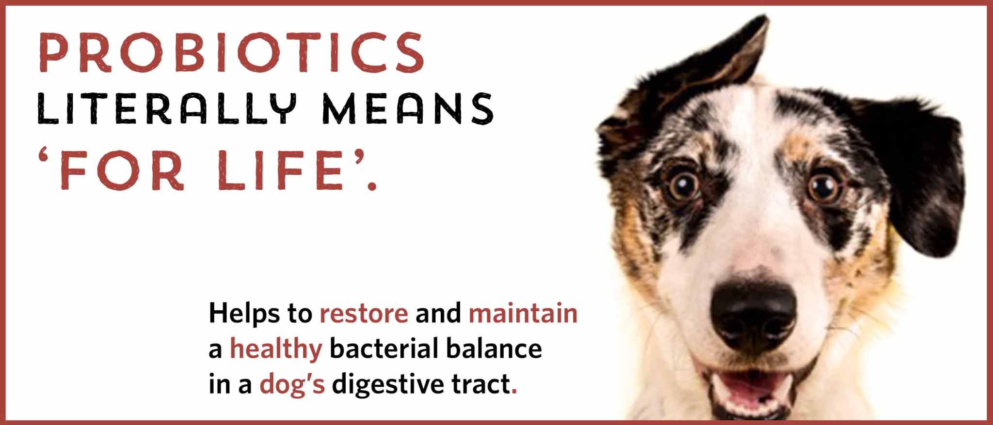 Probiotics means for life. Helps to restore and maintain a healthy bacterial balance in your dog's digestive tract.