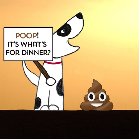 why do dogs eat their poop