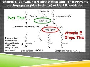 Vitamin E ingredient in Green Tea Serum Moisturizer