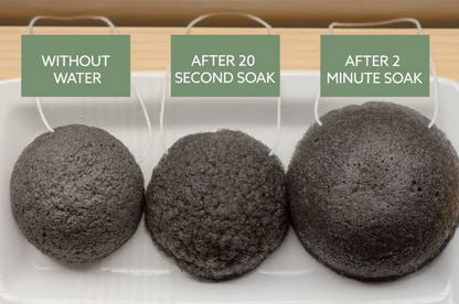 geduldig Touhou Bestrating Charcoal Konjac Sponge – Green Life Trading Co.