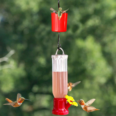 hummingbird insect feeder