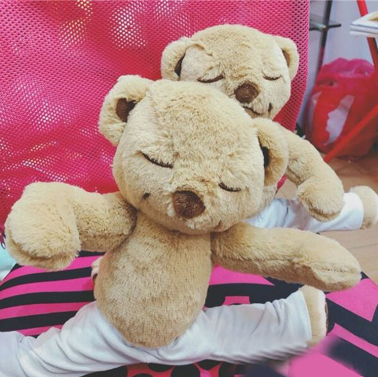 40cm teddy bear