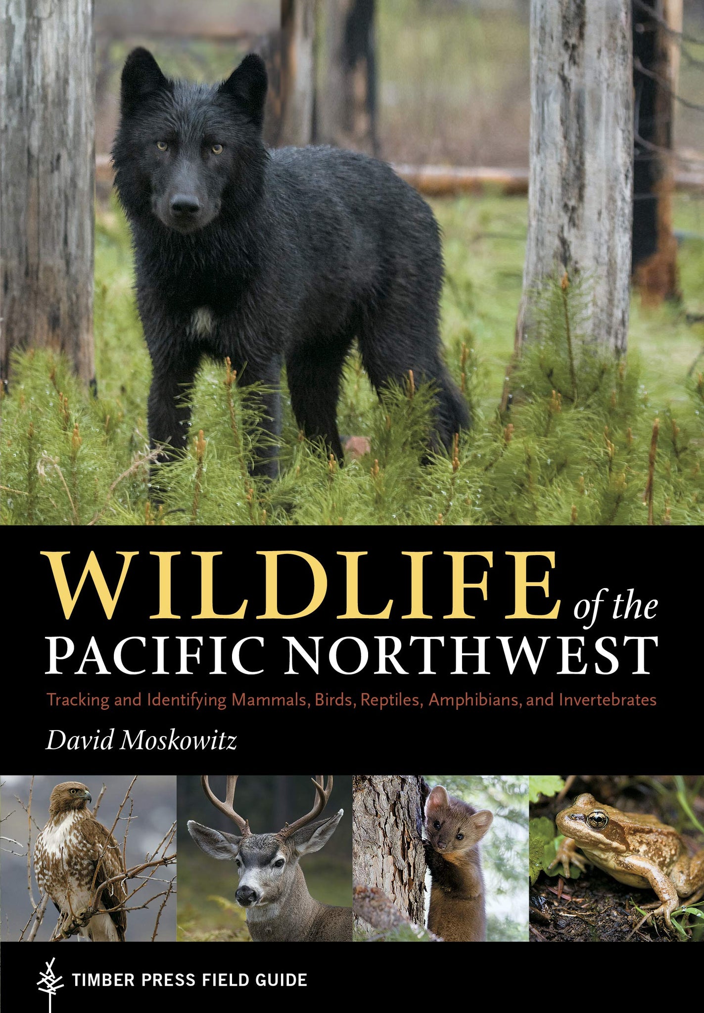 Wildlife of the Pacific Northwest: Tracking and Identifying Mammals, B