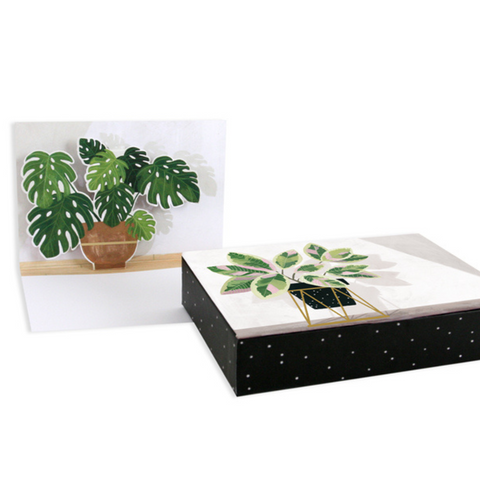 Potted Plants Boxed Notes Greeting Card