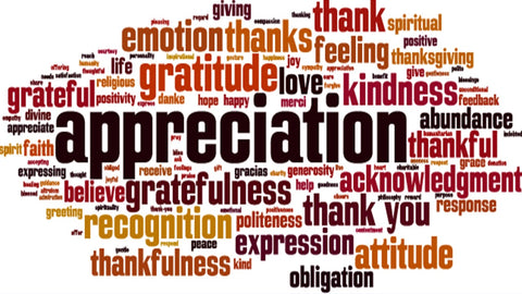 Word cloud on gratitude