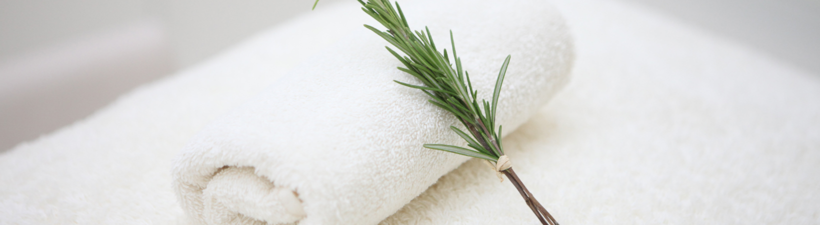 Rolled white towel with sprig of Rosemary - Home beauty salon decor aesthetic interior neutrals inspo
