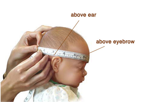 head-circumference