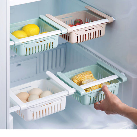 FRIDGE ZIPLOCK BAGS ORGANIZER – That Organized Home