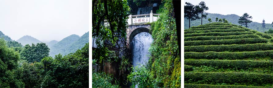 Dragonwell Long Jing Rare Tea surrounding area, waterfall & tea farm