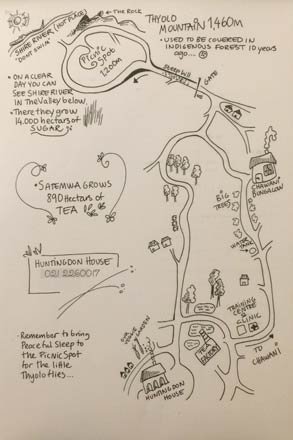 Satemwa Tea Estate Map