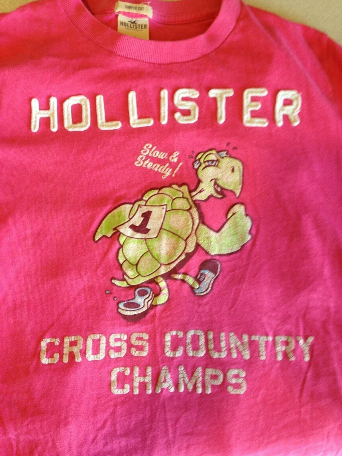 hollister cross county