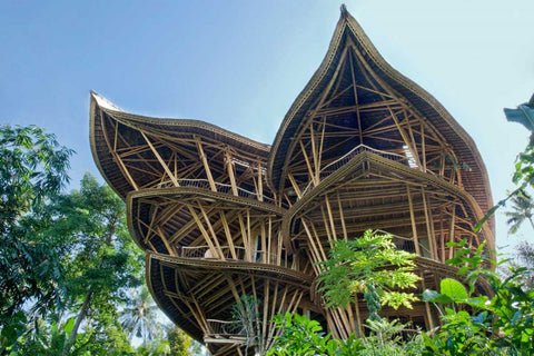 Bamboo house