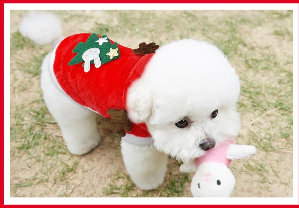 dog christmas clothes