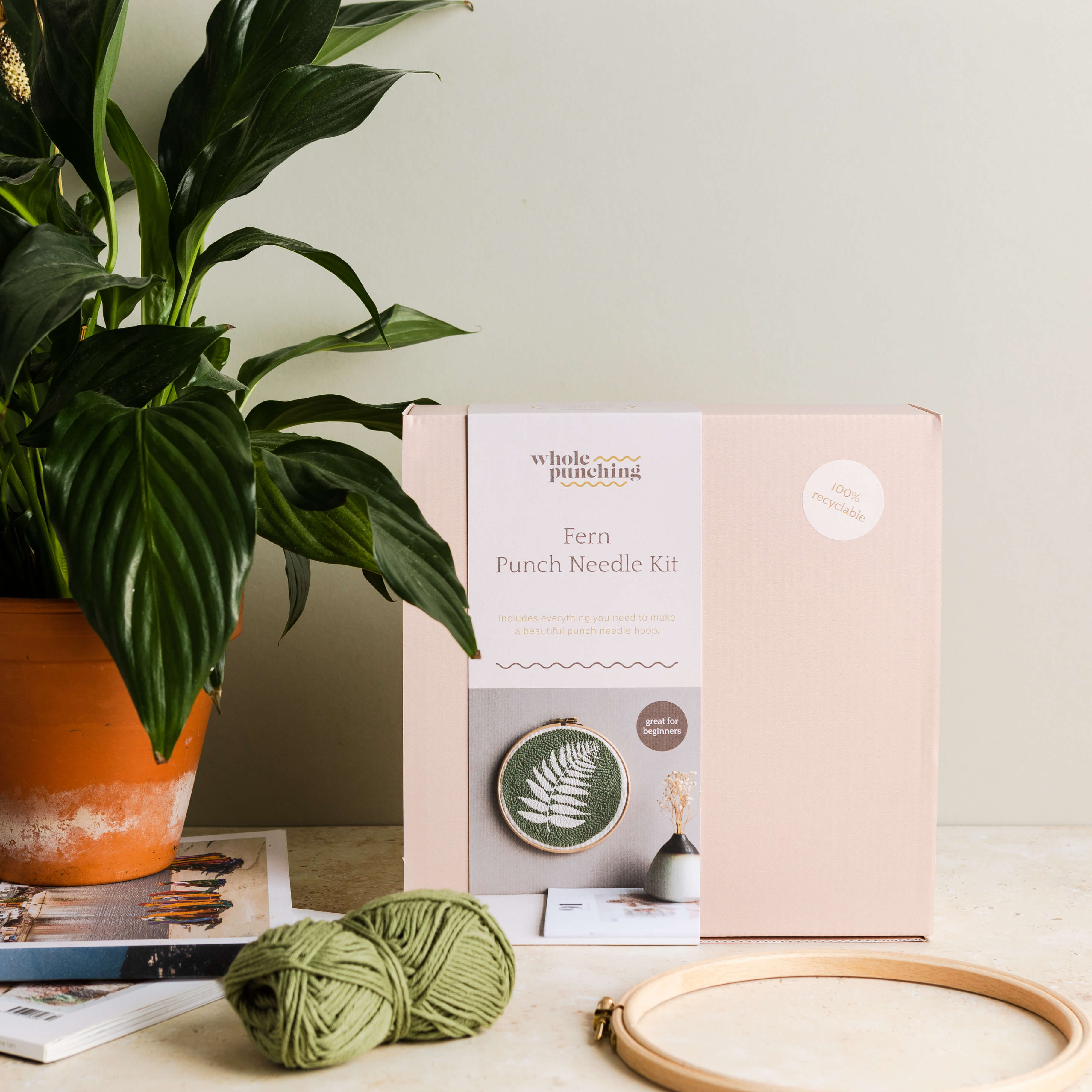 Fern punch needle hoop kit in pink box, next to a potted plant