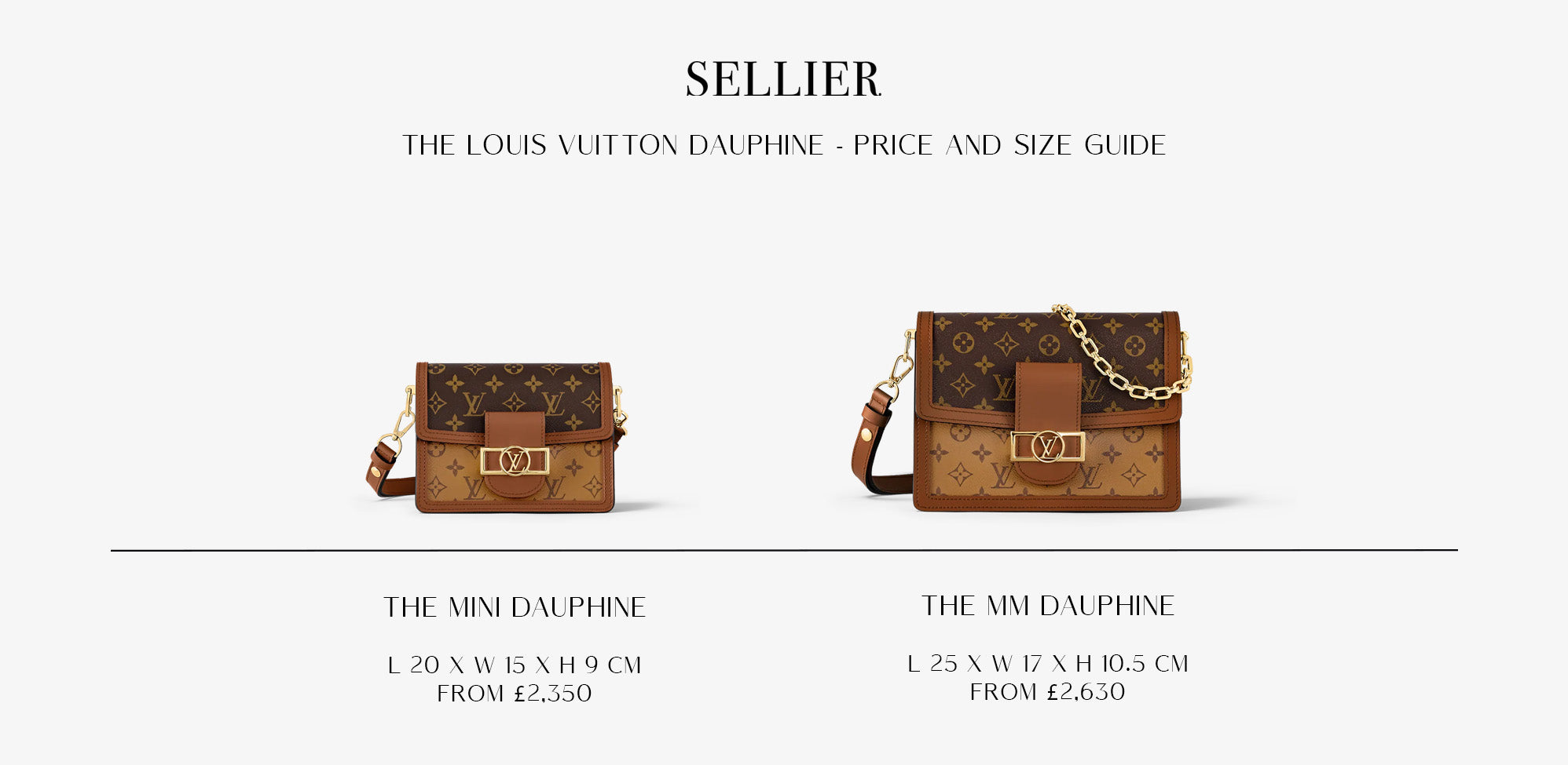 Sellier's Guide to The Iconic Louis Vuitton Bags