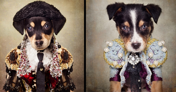 Haute Dogs: The Latest Designer Canine Fashion from Ralph Lauren, Burberry  and More