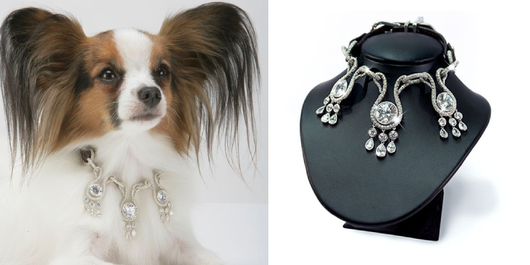 The Most Expensive Dog Outfits Money Can Buy