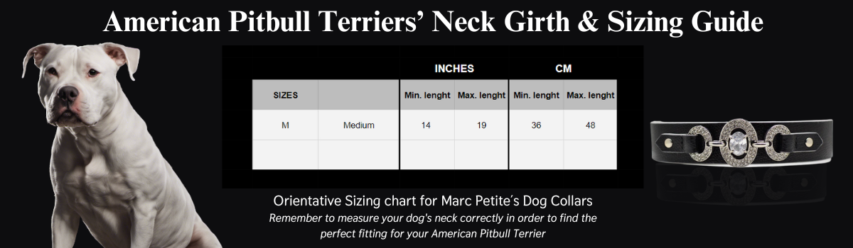 American Pitbull Terrier's Neck Size and Sizing Guide