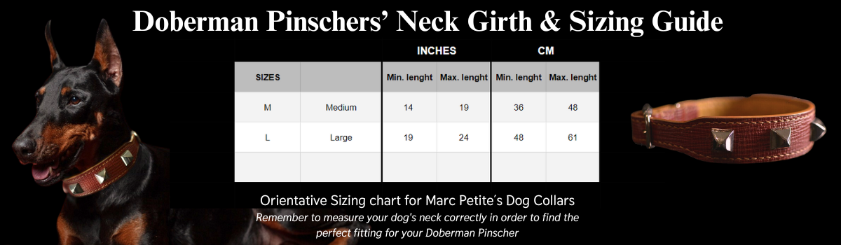 doberman pinscher neck girth and sizing guide