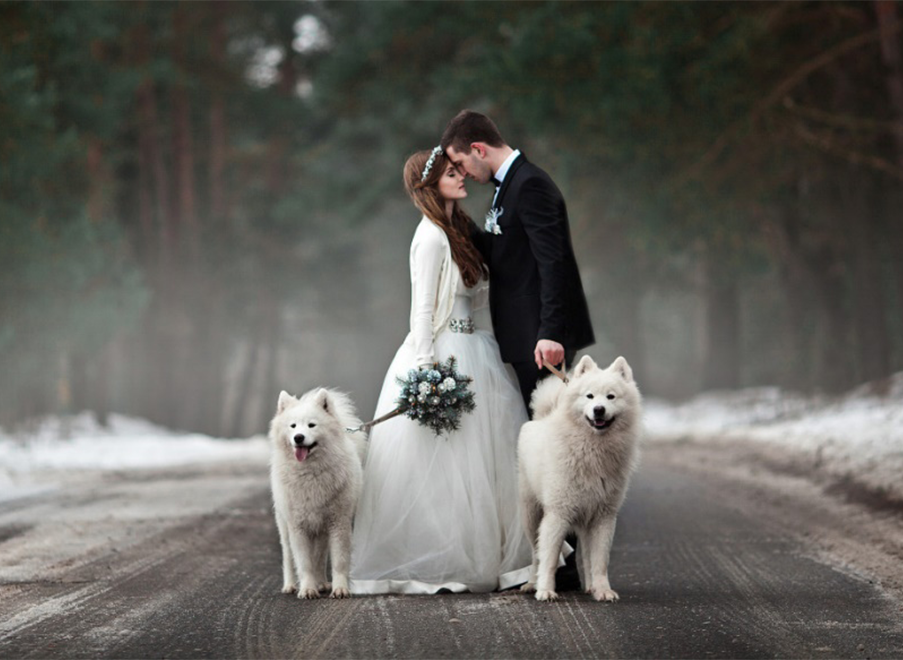 Mariage avec un chien