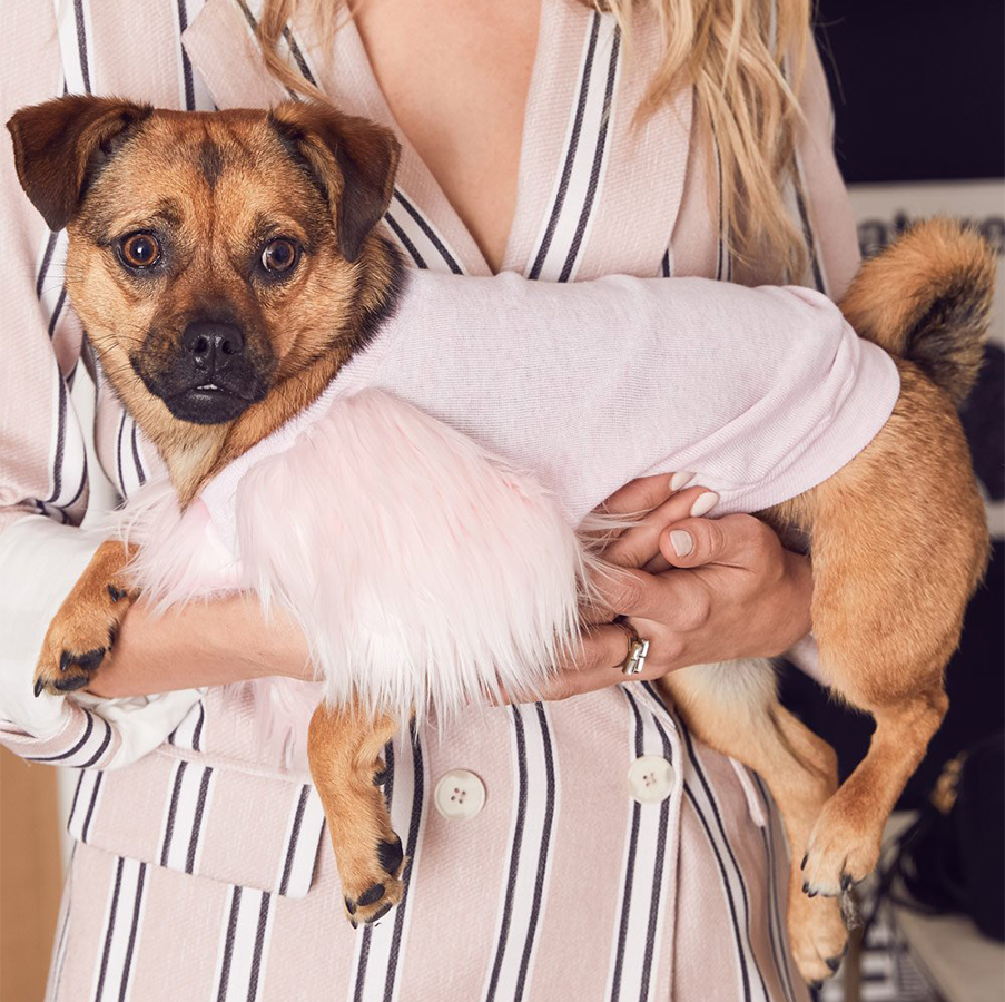 Dog fashion & Designer Dog Clothes – TOP 20+ BRANDS [2023 UPDATED] – Marc  Petite