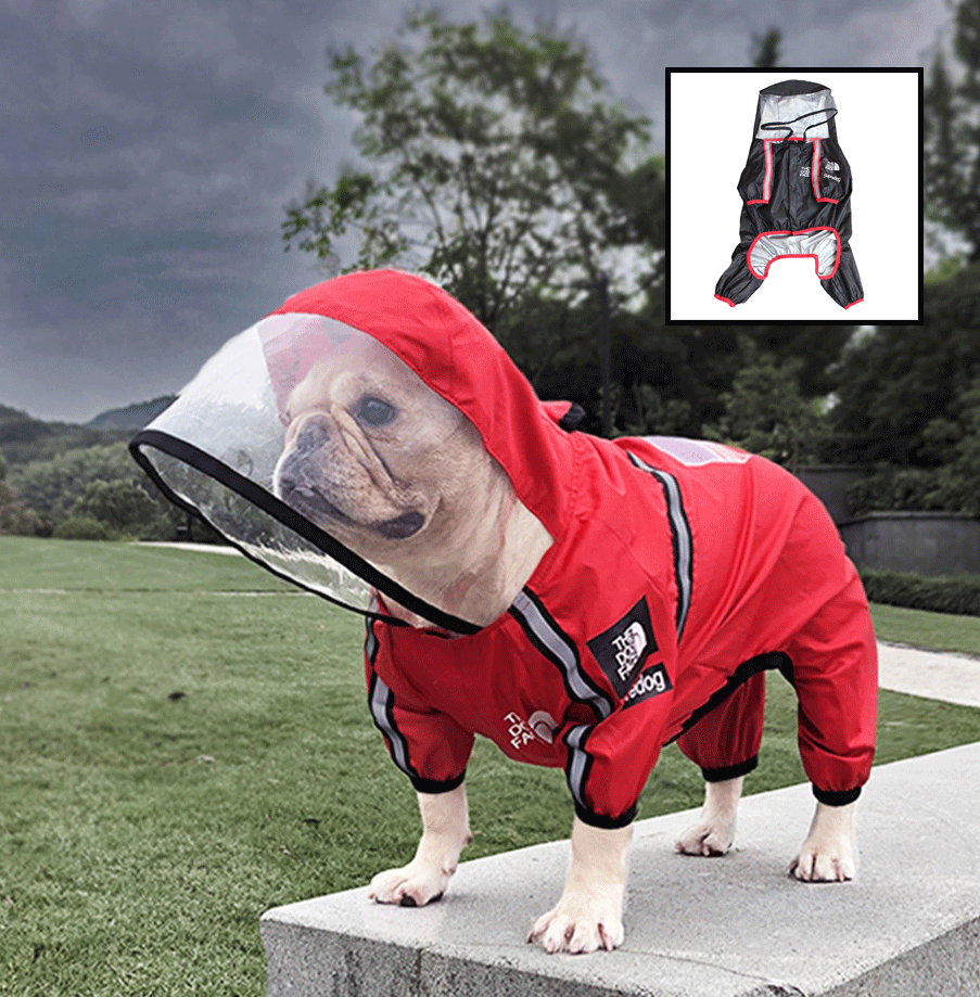 Frenchie raincoats with hoods