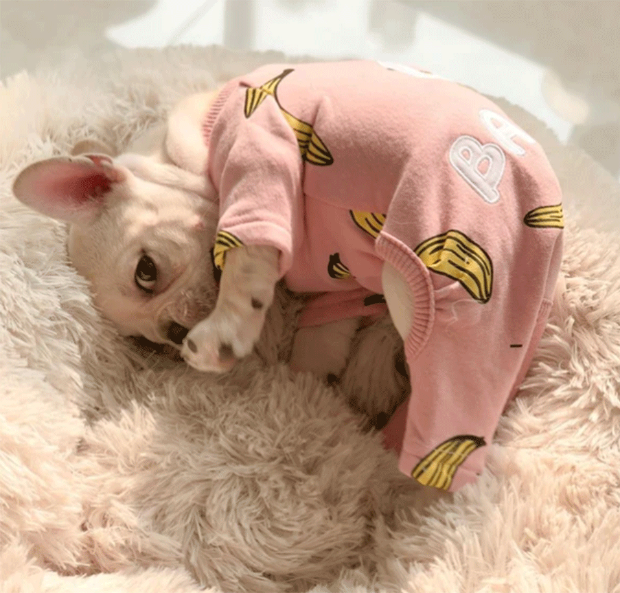 SUPER WARM Dog Sweater – Frenchiely