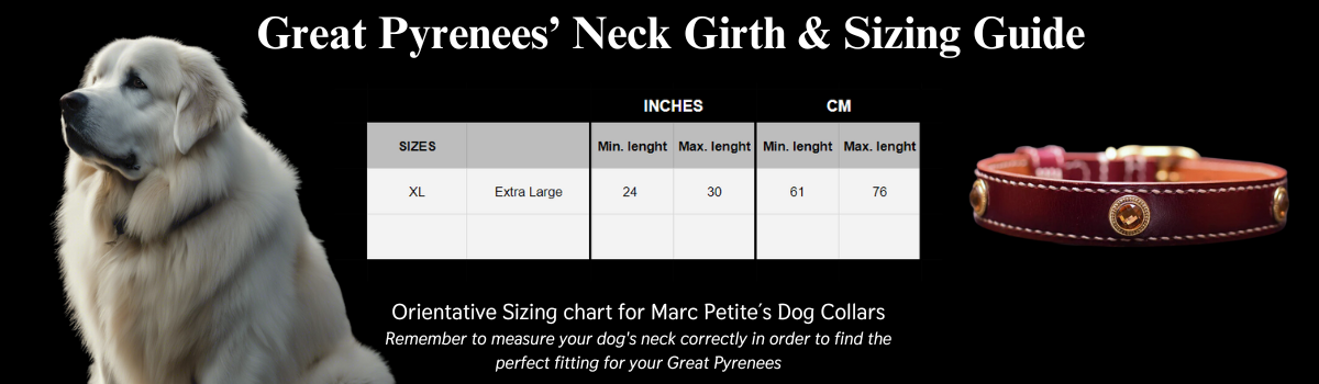 Great Pyrenees neck size and sizing guide