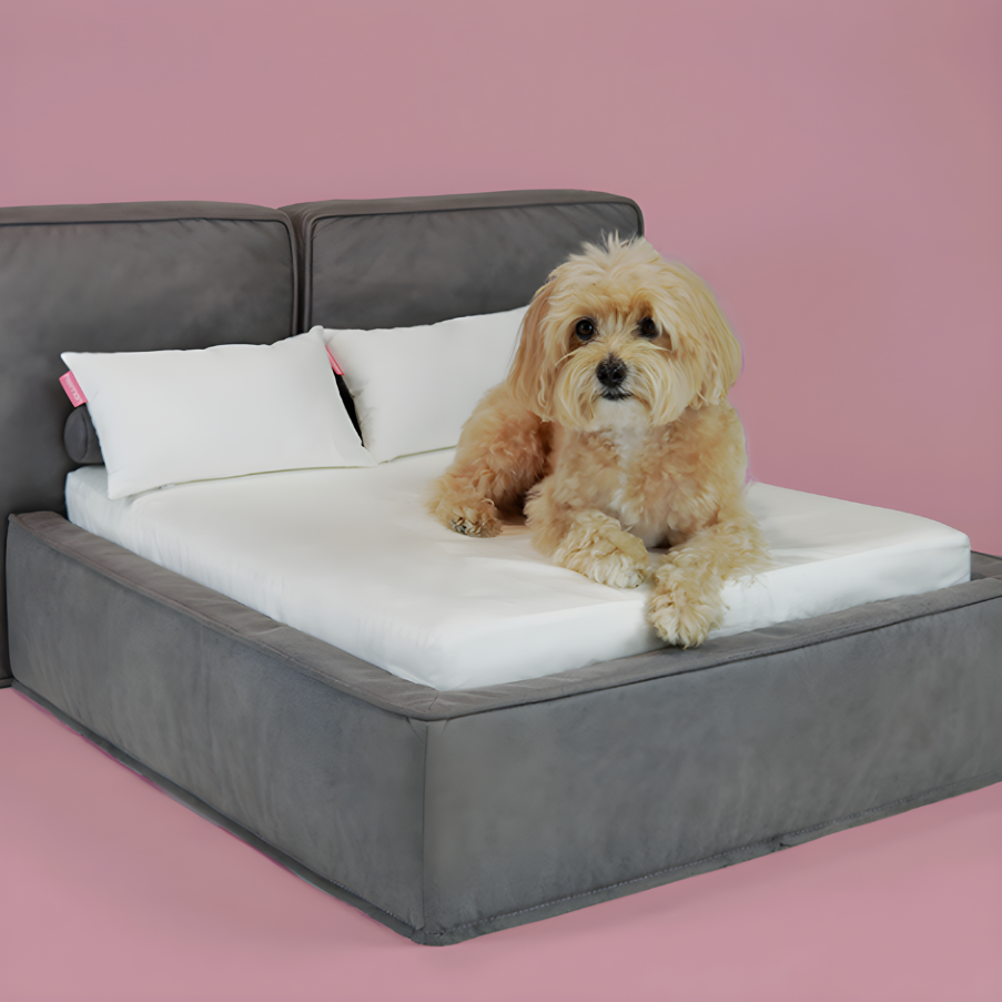 Hooman Luxury dog bed