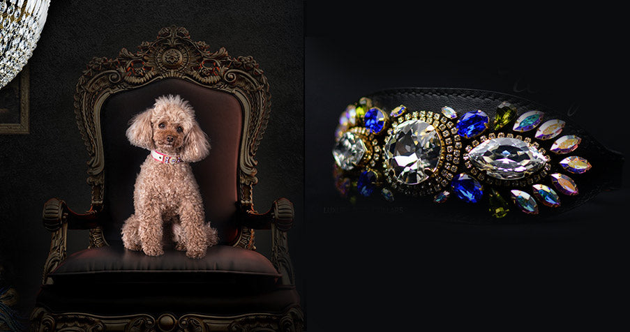 Colliers pour chiens ornés de bijoux