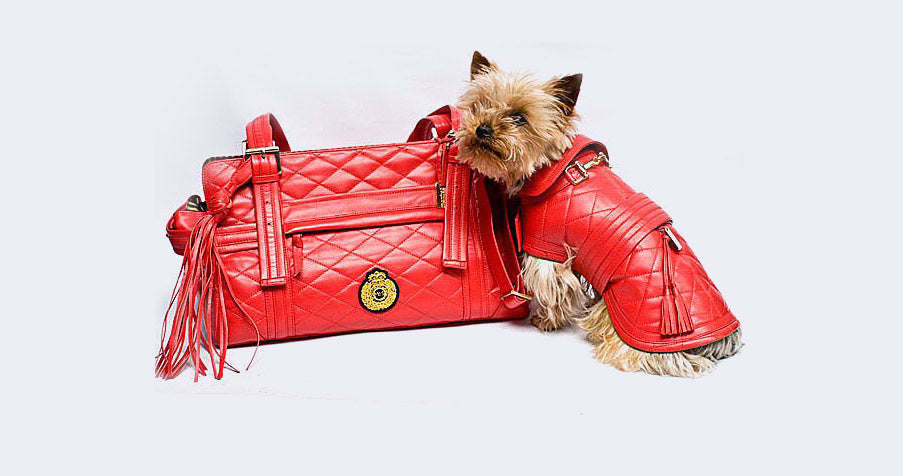 Manfredofsweden Red Leather bag and dog coat