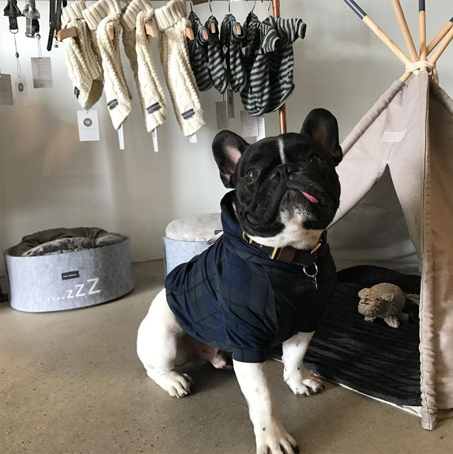 New Style Spring Summer Fashion Leisure Designer Dog Clothes Thin