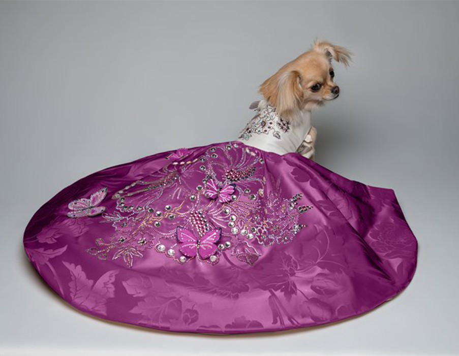 Canine Couture: The Most Luxurious Dresses Ever Made For Dogs – Marc Petite