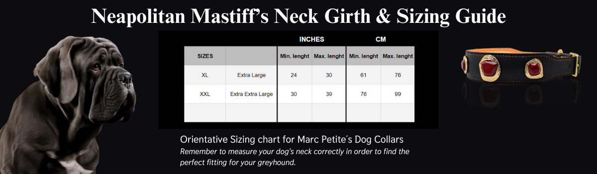 Neapolitan Mastiff's Neck Girth and Sizing Guide