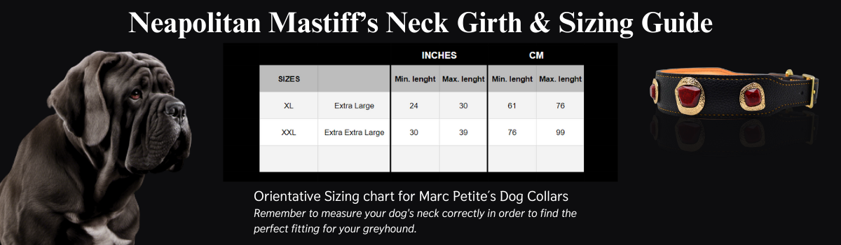 Tour de cou et guide des tailles du Mâtin napolitain