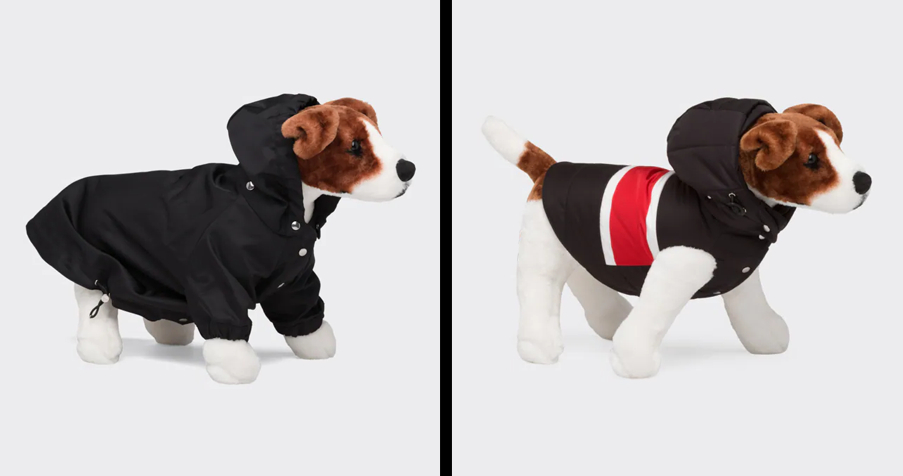 Dog fashion & Designer Dog Clothes