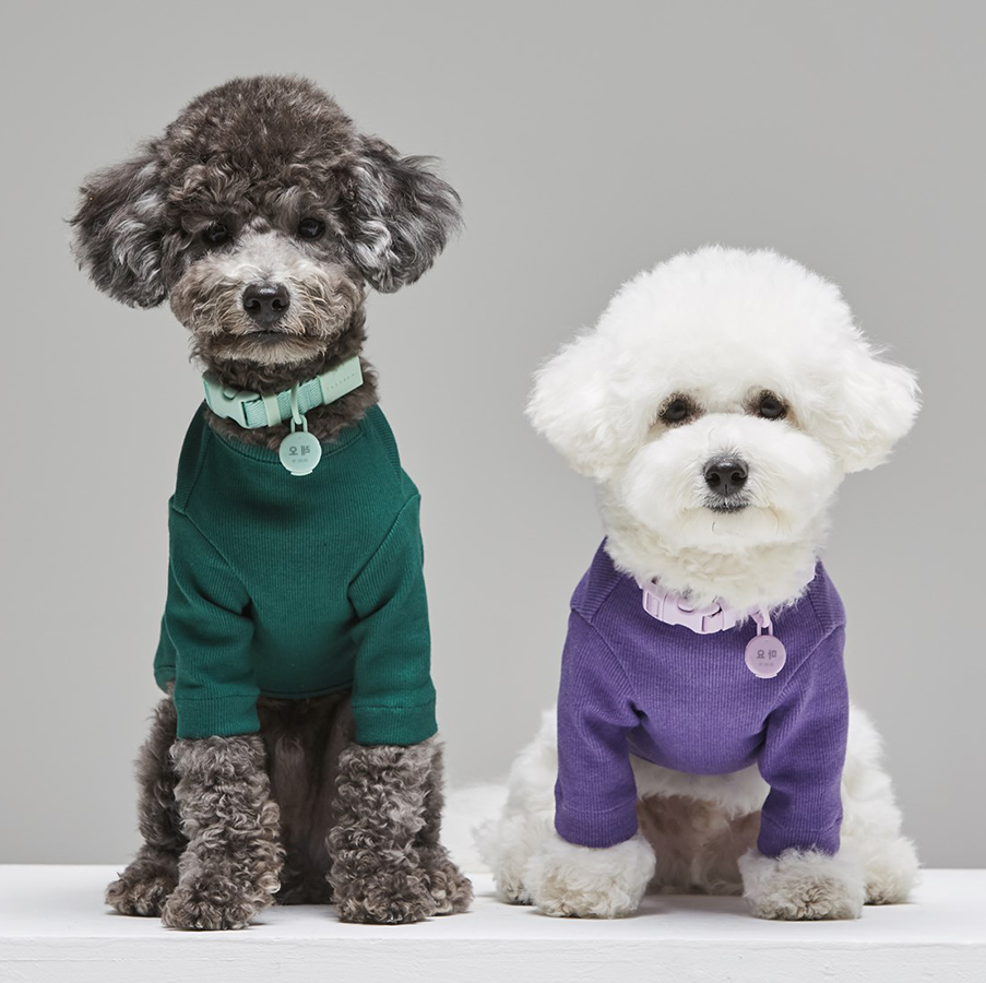 About Us - Online Boutique Dog Clothes Manufacturer, Designer Pet  Accessories