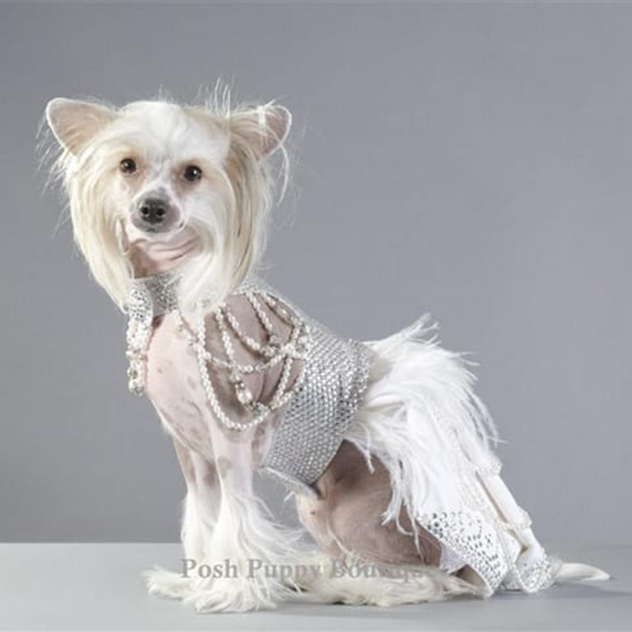 Canine Couture: The Most Luxurious Dresses Ever Made For Dogs – Marc Petite