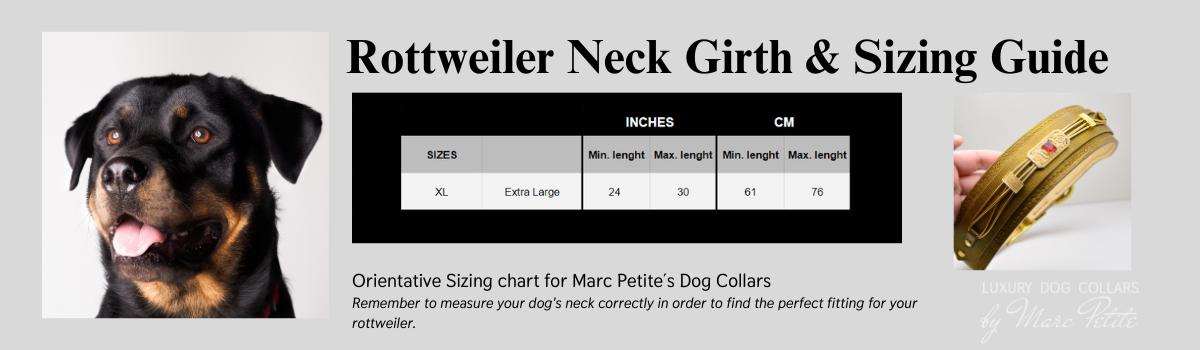 Rottweiler neck girth and sizing