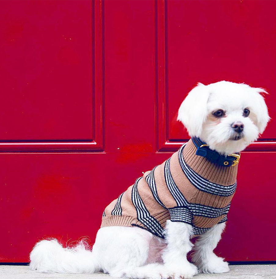 Dog Hoodie Fashion Victim Luxury Pet Clothes Trendy Famous brand exclusive
