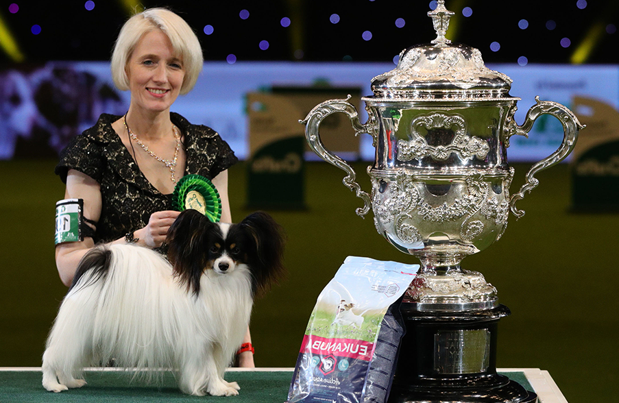 L'exposition canine Crufts