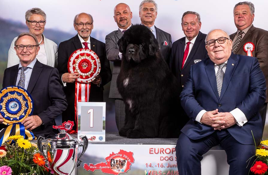 The Euro Dog Show