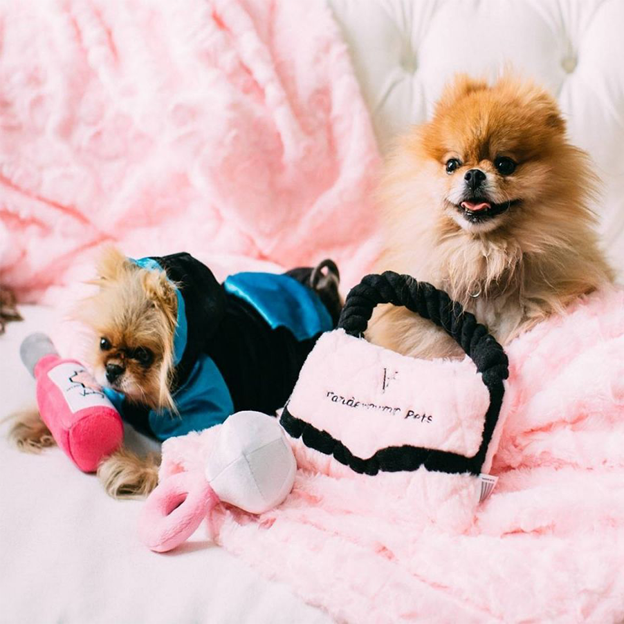 9 Best Designer Dog Clothes & Accessories Brands in 2023