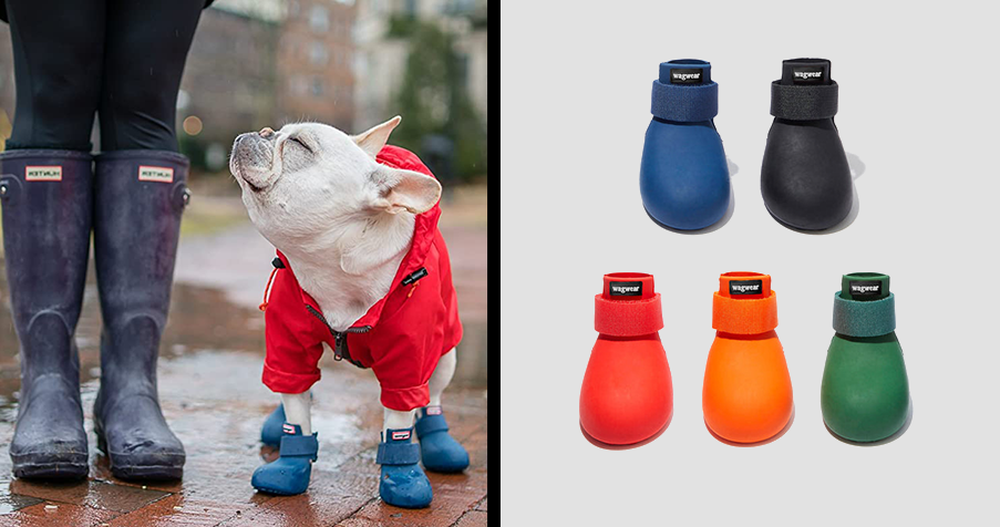 Dog fashion & Designer Dog Clothes – TOP 20+ BRANDS [2023 UPDATED] – Marc  Petite
