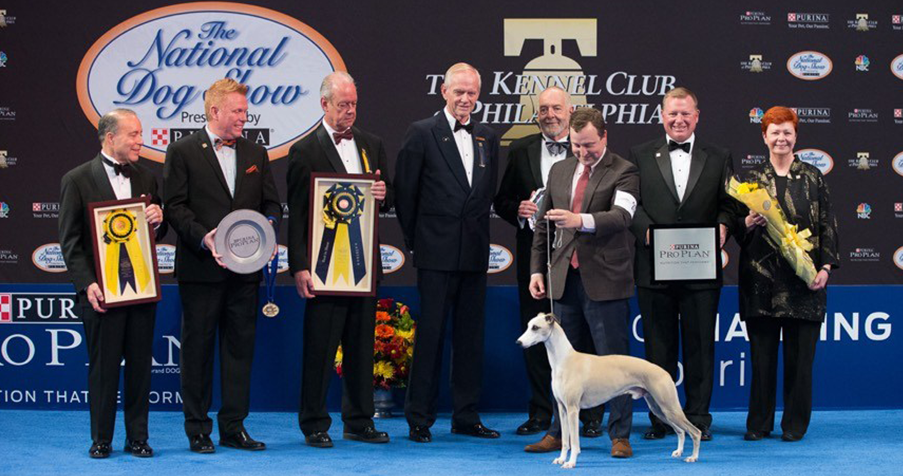 Meilleures expositions canines nationales et internationales du monde