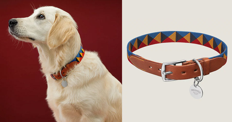 LV, Louis Vuitton inspired Dog Collar!!!!